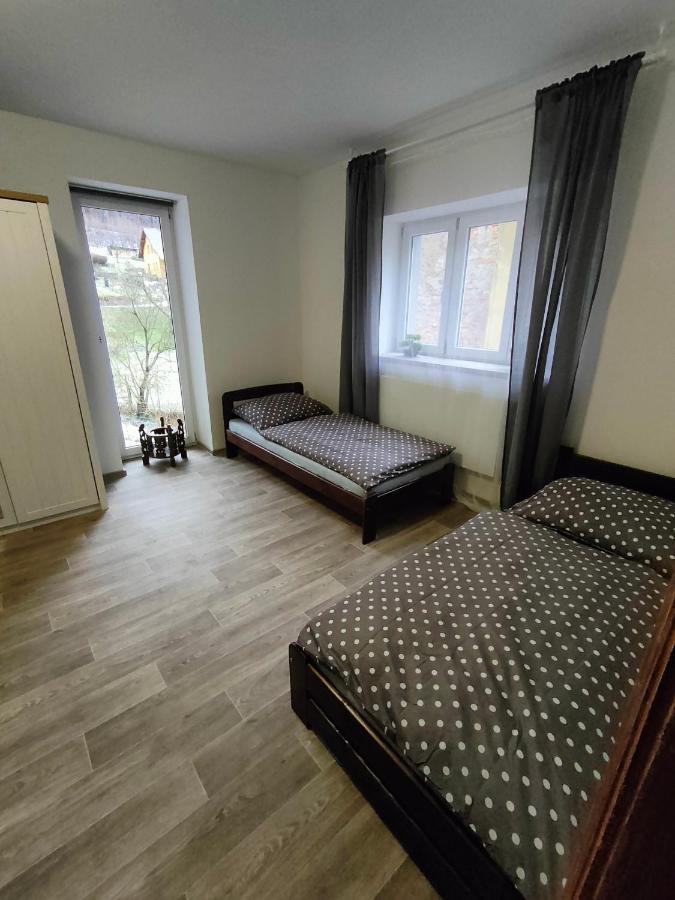 Apartmany Na Ceste Desna  Exterior photo