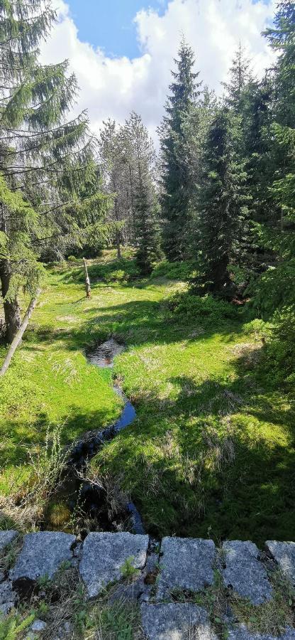 Apartmany Na Ceste Desna  Exterior photo