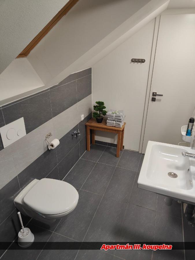 Apartmany Na Ceste Desna  Exterior photo