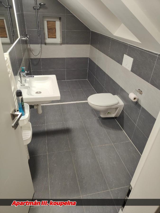 Apartmany Na Ceste Desna  Exterior photo